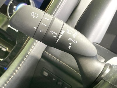2025 Toyota ALPHARD 照片 51