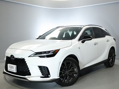 2023 Lexus RX — миниатюра 17