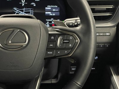 2025 Lexus GX thumbnail 29
