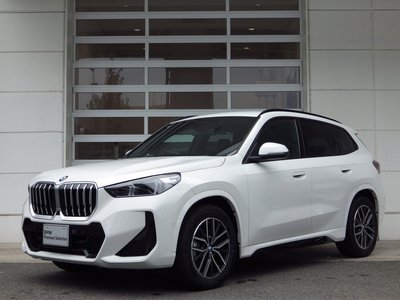 2025 BMW X1 photo 1