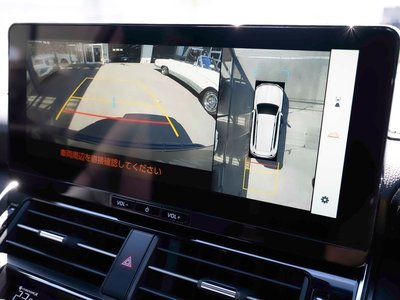 2025 Toyota LAND CRUISER 300 photo 11