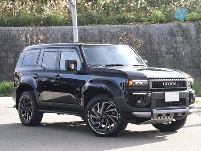 2024 Toyota LAND CRUISER 250 photo 12