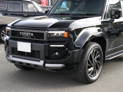2024 Toyota LAND CRUISER 250 photo 19