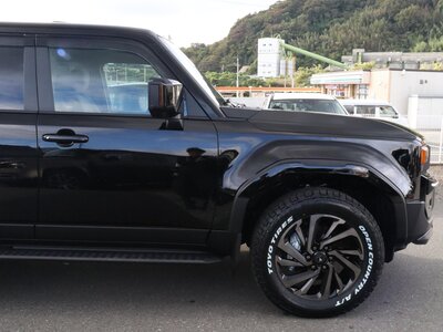 2024 Toyota LAND CRUISER 250 photo 22
