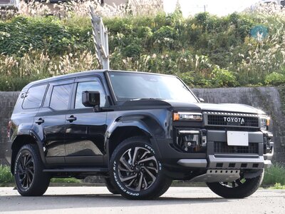 2024 Toyota LAND CRUISER 250 photo 58