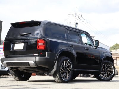 2024 Toyota LAND CRUISER 250 photo 60