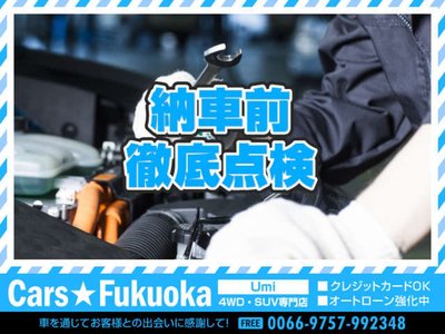2024 Toyota LAND CRUISER 250 photo 66