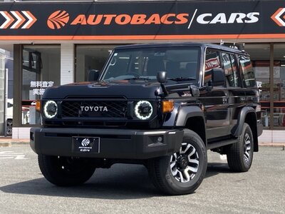 2024 Toyota LAND CRUISER 70 — фото 1