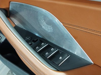 2020 BMW 8 SERIES CABRIOLET photo 55