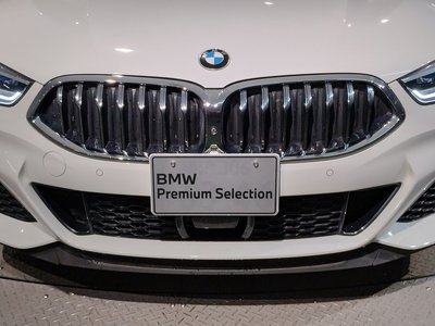 2020 BMW 8 SERIES CABRIOLET photo 73