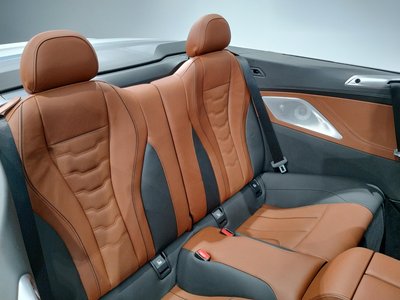 2020 BMW 8 SERIES CABRIOLET photo 50