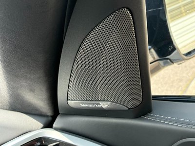 2021 BMW X7 — миниатюра 23