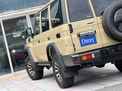 2025 Toyota LAND CRUISER 70 thumbnail 30