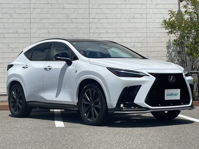 2024 Lexus NX — миниатюра 36