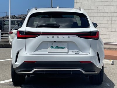 2024 Lexus NX — миниатюра 41