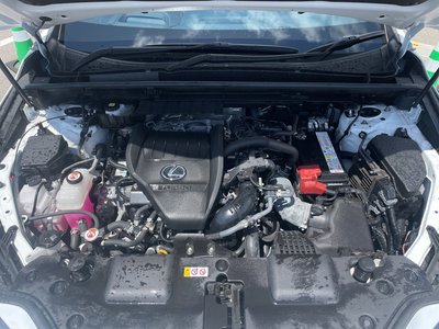 2024 Lexus NX — миниатюра 8