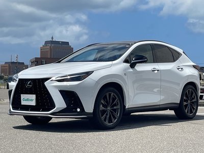 2024 Lexus NX — миниатюра 34