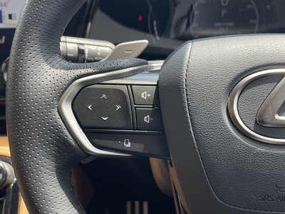 2024 Lexus NX — миниатюра 30