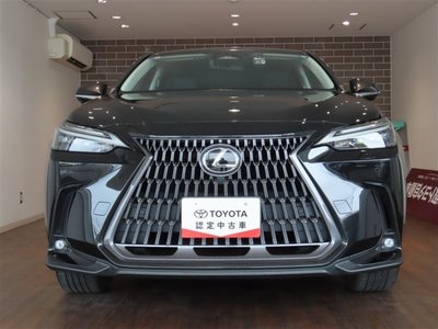 2022 Lexus NX 缩略图 2