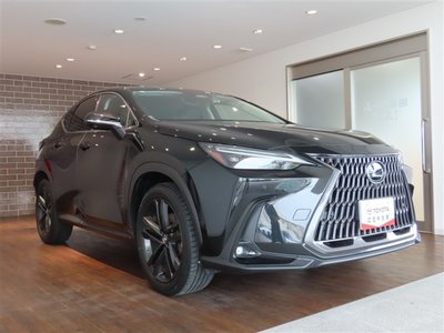 2022 Lexus NX 缩略图 3