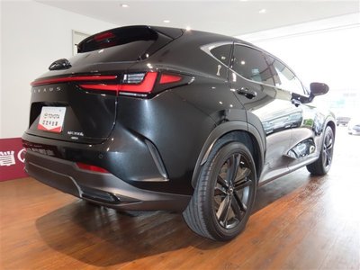 2022 Lexus NX 缩略图 6