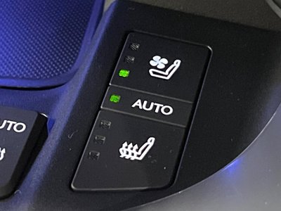 2025 Lexus LX thumbnail 38