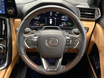 2025 Lexus LX thumbnail 29