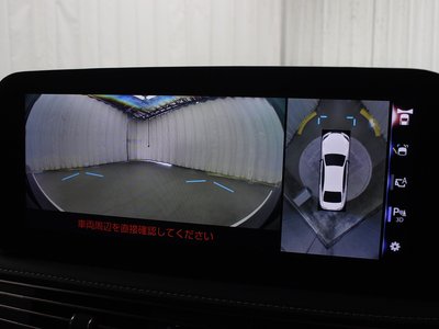 2021 Lexus LS photo 10