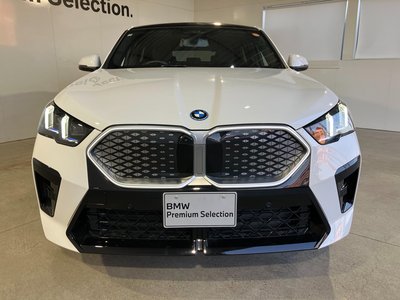2025 BMW IX2 photo 12