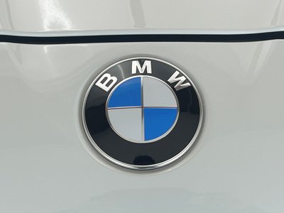2014 BMW Alpina D5 照片 20