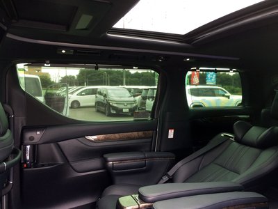 2021 Toyota ALPHARD 照片 21