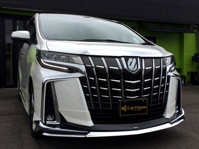 2021 Toyota ALPHARD 照片 5
