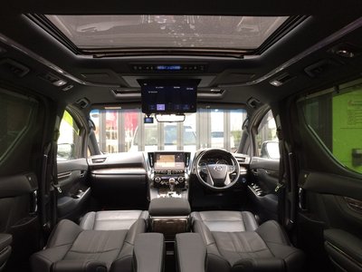 2021 Toyota ALPHARD 照片 2