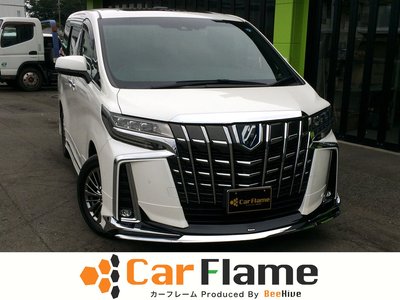 2021 Toyota ALPHARD 照片 1