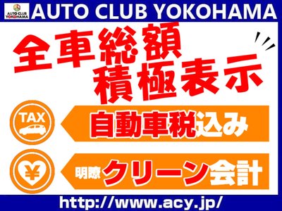2024 Toyota ALPHARD 照片 2