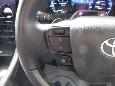 2024 Toyota ALPHARD 照片 19