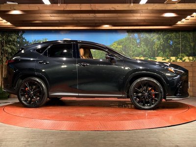 2025 Lexus NX thumbnail 28