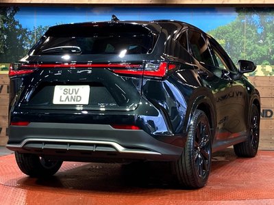2025 Lexus NX thumbnail 17