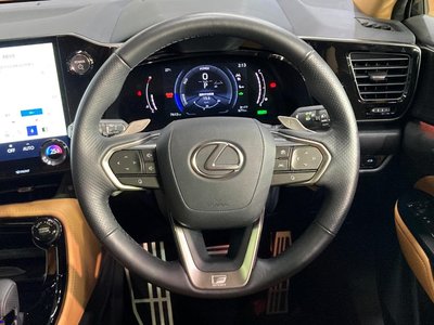 2025 Lexus NX photo 11