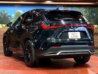 2025 Lexus NX thumbnail 29