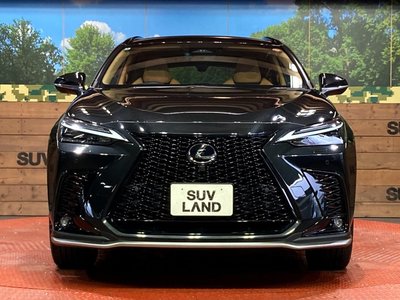 2025 Lexus NX photo 14