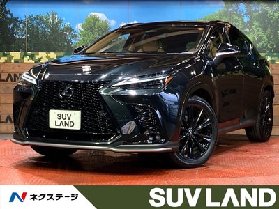 2025 Lexus NX photo 1