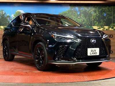 2025 Lexus NX photo 16