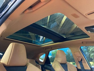 2025 Lexus NX photo 3
