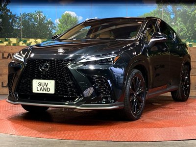 2025 Lexus NX thumbnail 27