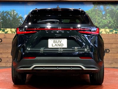 2025 Lexus NX photo 15