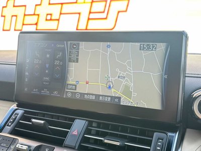 2023 Toyota LAND CRUISER 300 photo 13