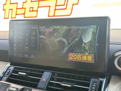 2023 Toyota LAND CRUISER 300 photo 15
