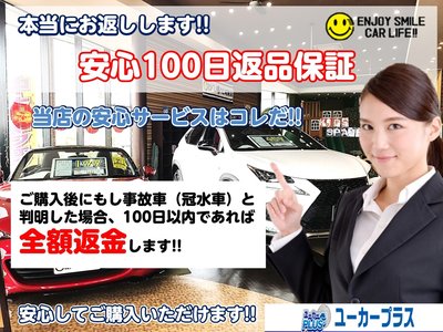 2026 Toyota ALPHARD — фото 39