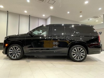 2022 Cadillac ESCALADE 照片 13